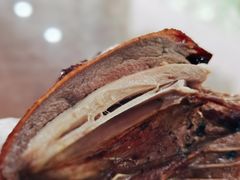 红烧乳鸽-煲煲掂风味煲仔饭餐厅(西区店)