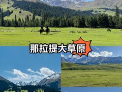 -新疆那拉提国家旅游度假区