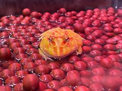 -三旗百汇商品城