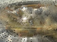 -蔚海之都·象山蒸汽海鲜(仙霞路店)