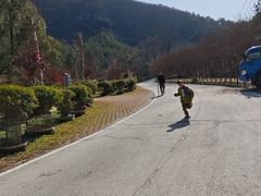 -木兰云雾山