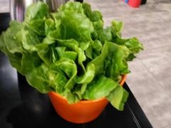 -古乐牛香·鲜牛肉牛杂火锅(五一中路店)