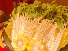 -谭鸭血老火锅(万象九宜城店)