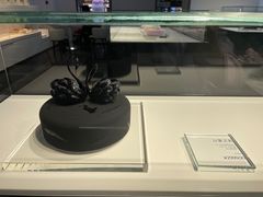 -BLACKSWAN黑天鹅(环球店)