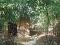 -兰亭风景区