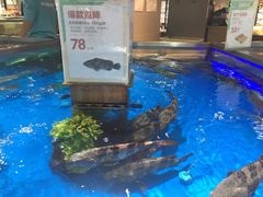 -盒马鲜生(悦峰店)