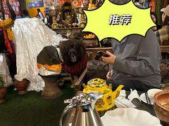 吉祥圣雪-吉祥圣雪藏餐