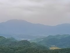 -黄贤森林公园
