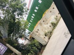 -Twin Tails Brewpub双尾精酿餐吧(八坼店)