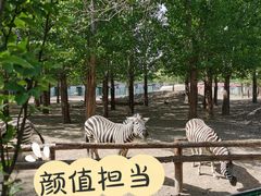 -平山城鑫烧烤(建国楼店)