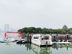 -金鸡湖桃花岛