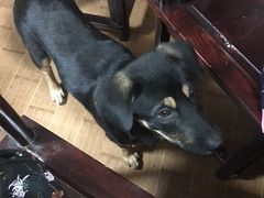 -丝绸小镇荻港古村