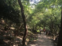 -兴福老面馆(寺路街店)