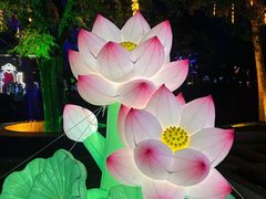 -荷兰花海