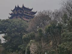 -黄鹤楼公园(黄鹤楼)