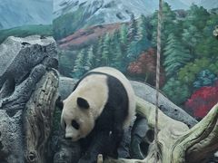 -武汉动物园