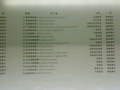-青岛贝壳博物馆