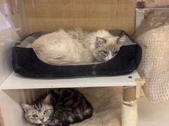 -老炮儿轰趴团建KTV桌游棋牌主题馆(五道口店（底商店))