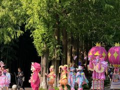 -黄海国家森林公园