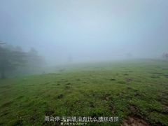 -芦芽山旅游度假区