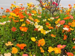 -百伦百货(简阳店)