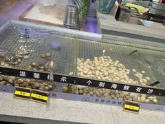 -圣罗巴海鲜自助(黑金店)