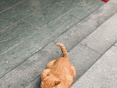 -思南书局(复兴中路店)