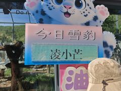 -青藏高原野生动物园