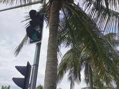 -白沙门生态公园