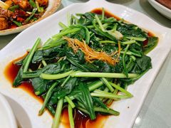 白灼板蓝根-朱家小厨(红塔西路店)