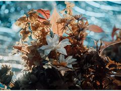 -怪咖·joker陈楠