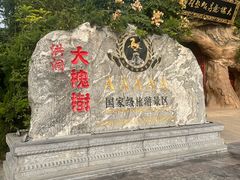 -大槐树寻根祭祖园