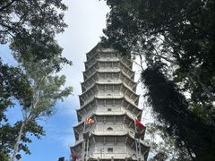 -深圳国际园林花卉博览园