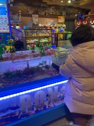 -卡通尼·Safari非洲探索乐园·生日会(金桥国际商业广场店)