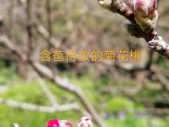 -中山公园