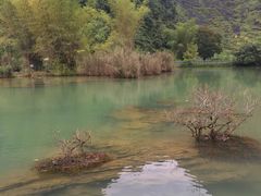 -靖西鹅泉风景区