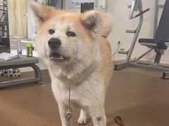 -YCHL Studios健身工作室(市二宫店)