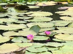 -神光山国家森林公园