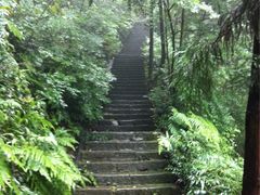iphone_upload_pic-重庆抗战遗址博物馆