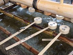 -有栖山 清光院 清水寺