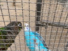 -南宫五洲植物乐园