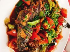 剑骨鱼啤酒炖-生态苑农庄(十里画廊遇龙河店)