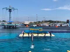 -秦皇岛乐岛海洋王国