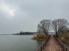 -贡湖湾湿地公园