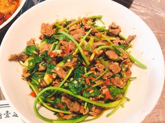 香菜炒牛肉-壹盏灯(惠农店)