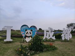 -空港花田景区