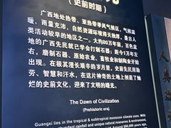 -广西壮族自治区博物馆