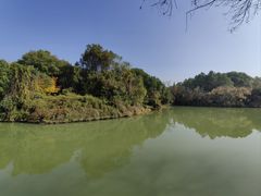 -八大山人梅湖景区