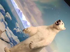 -陕西自然博物馆