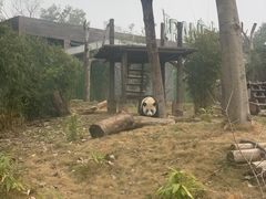 -武汉动物园